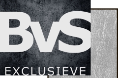 BVS WANDEN 2018 LOGO